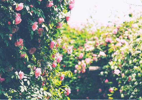 源和環保 源和環保